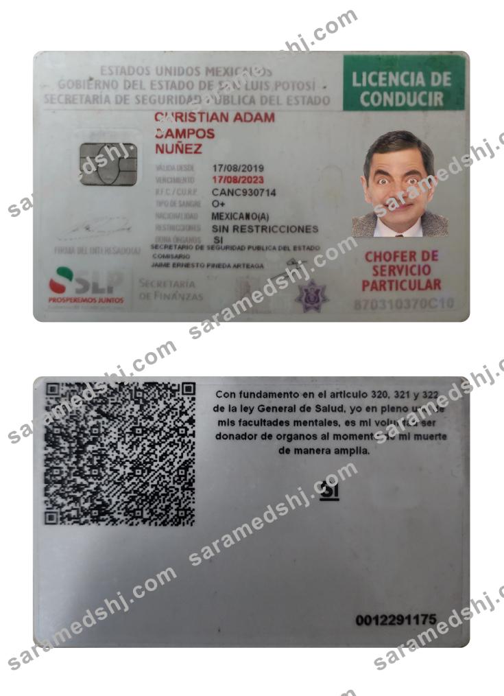 Mexico driving license 2019-present